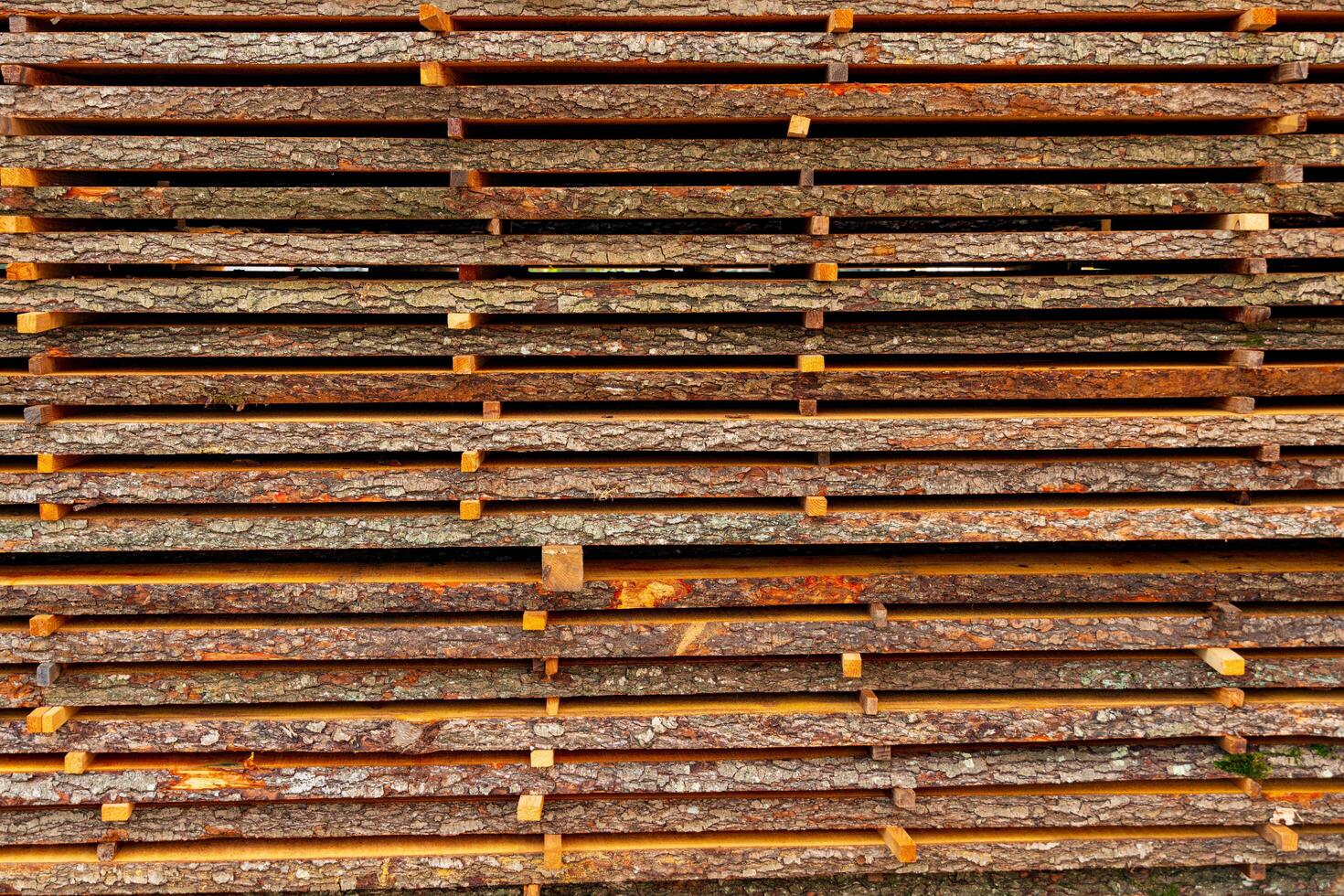 Pine boards on a sawmill. Stacks of boards on a sawmill. Boards with bark photo