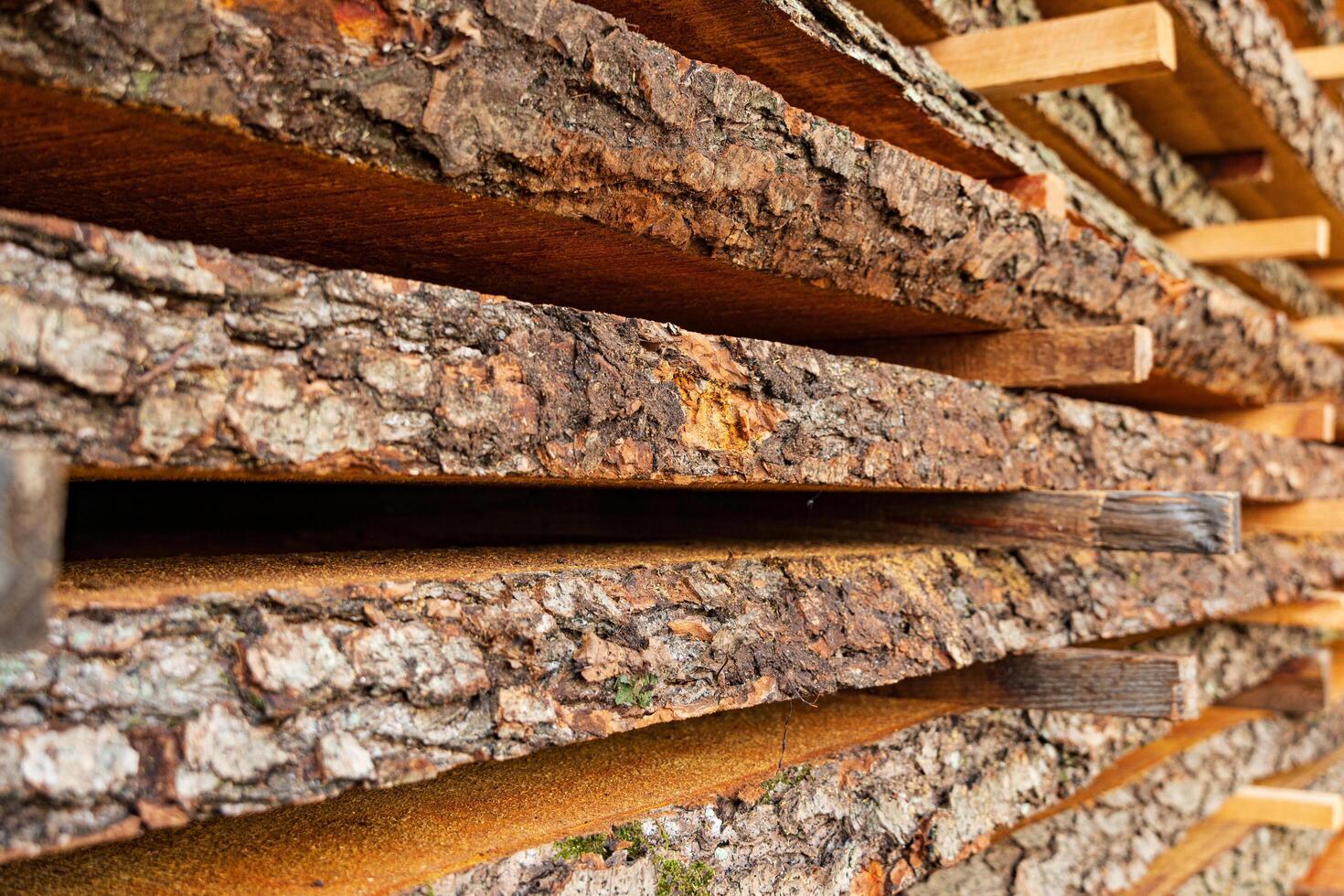 Planks on the sawmill as textures and background. Tree bark close up photo