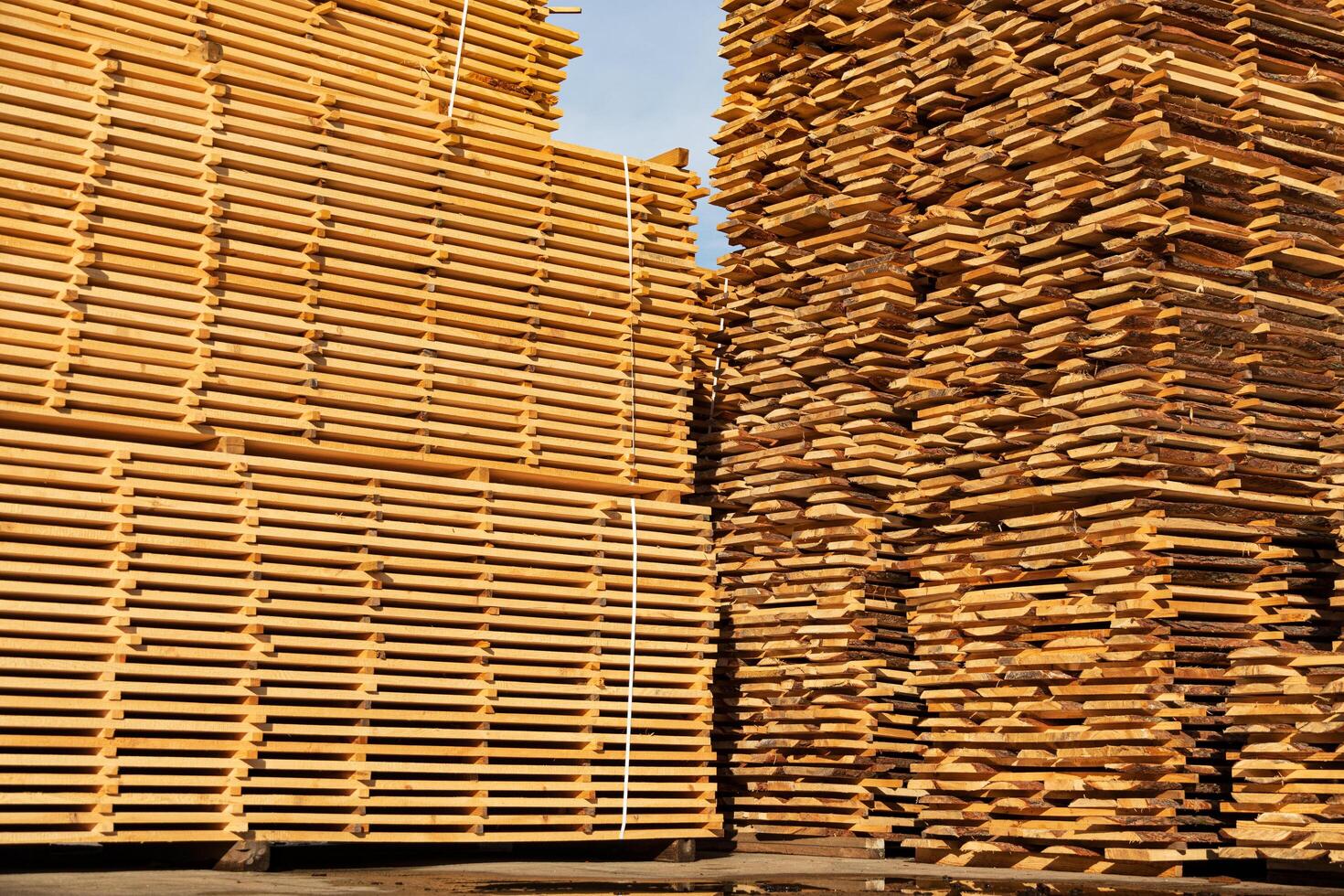 Wooden boards in a sawmill. Piles of wooden boards in the sawmill. Wood timber stack of wooden blanks. Production of building material photo