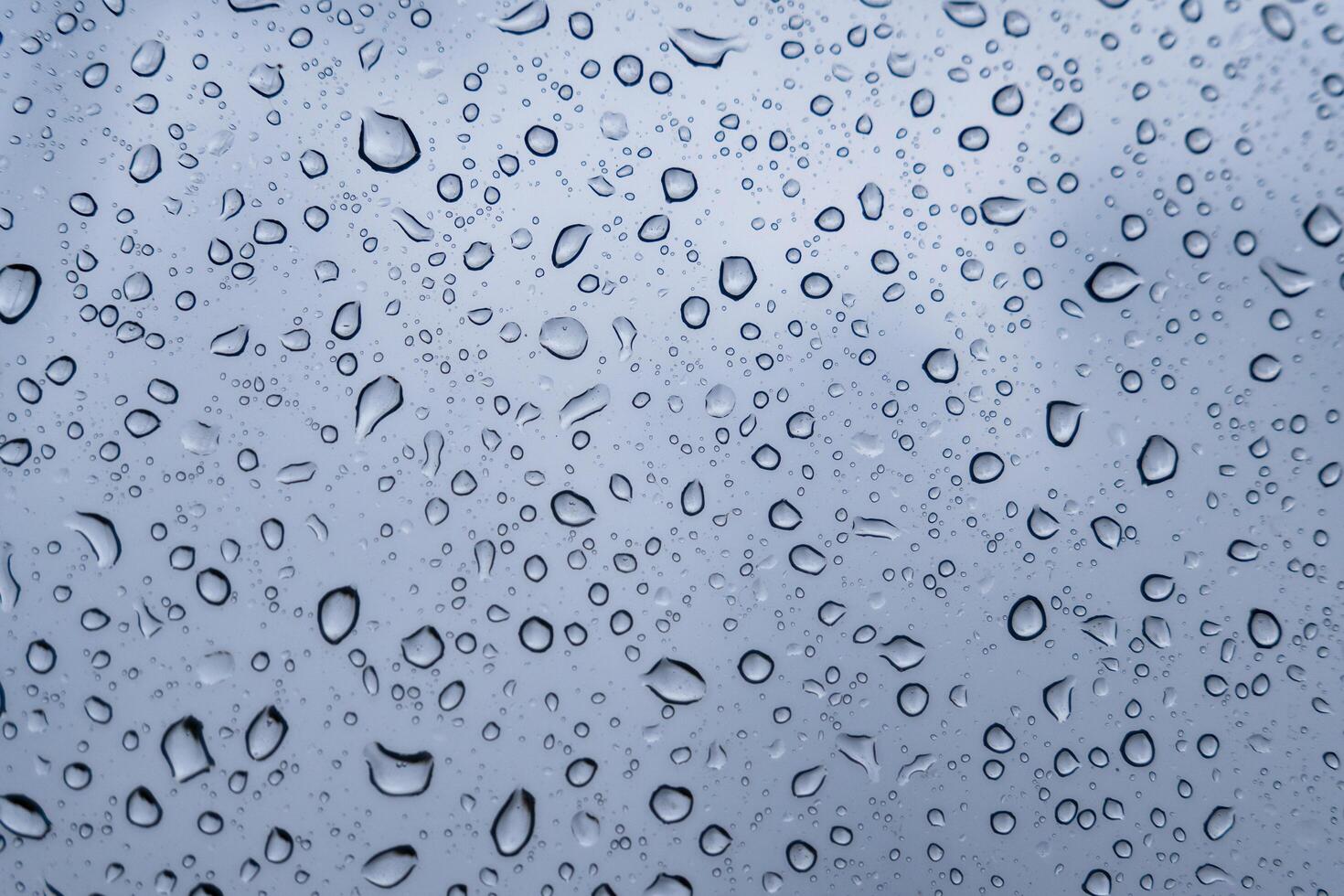 Many small raindrops are scattered across a smooth, gray surface, creating a textured and abstract pattern photo