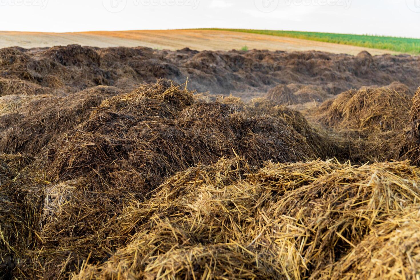 Amidst the rolling hills, large mounds of manure sit in a rural area as clouds gather above, hinting at possible rain in the late afternoon light photo