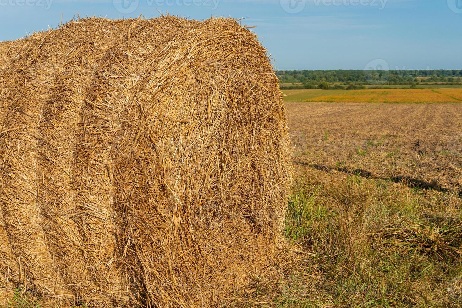 A large round hay bale sits in a sunlit field, surrounded by freshly cut grass and distant greenery, reflecting the peacefulness of late summer photo