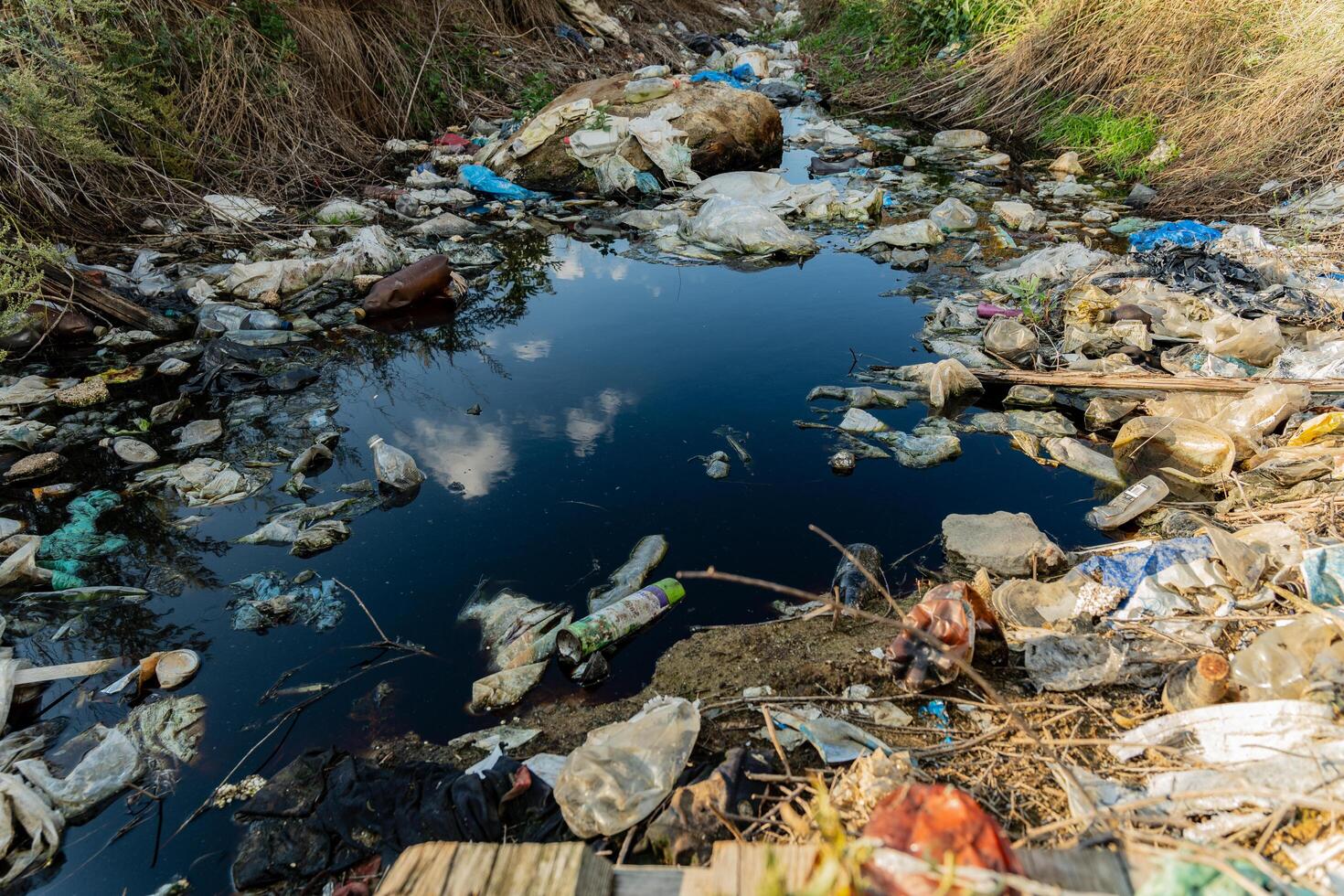 A small waterway is heavily polluted with plastic waste and debris, reflecting the surrounding greenery under daylight. The scene highlights environmental issues faced by rural areas photo