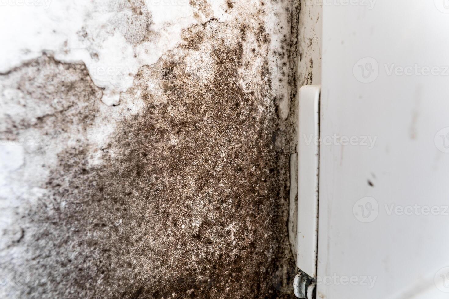A close-up of a white wall with dark brown mold growth near a white window frame photo
