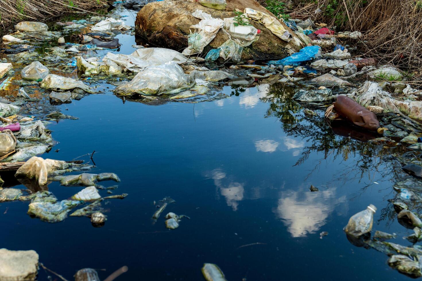Trash and plastic bottles in water. Garbage and pollution on water. Environment pollution photo