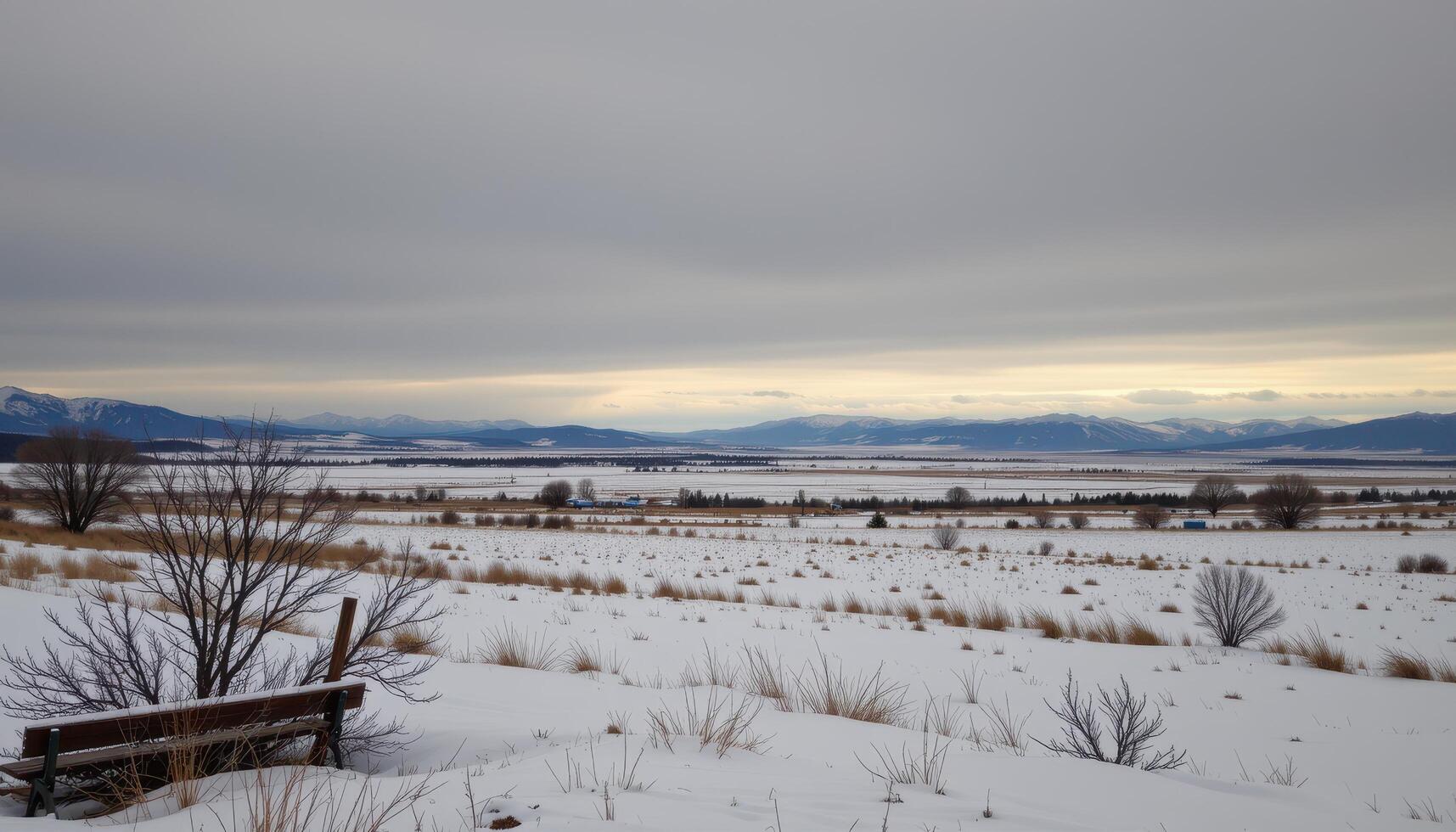 a vast snowy plain under an overcast sky photo