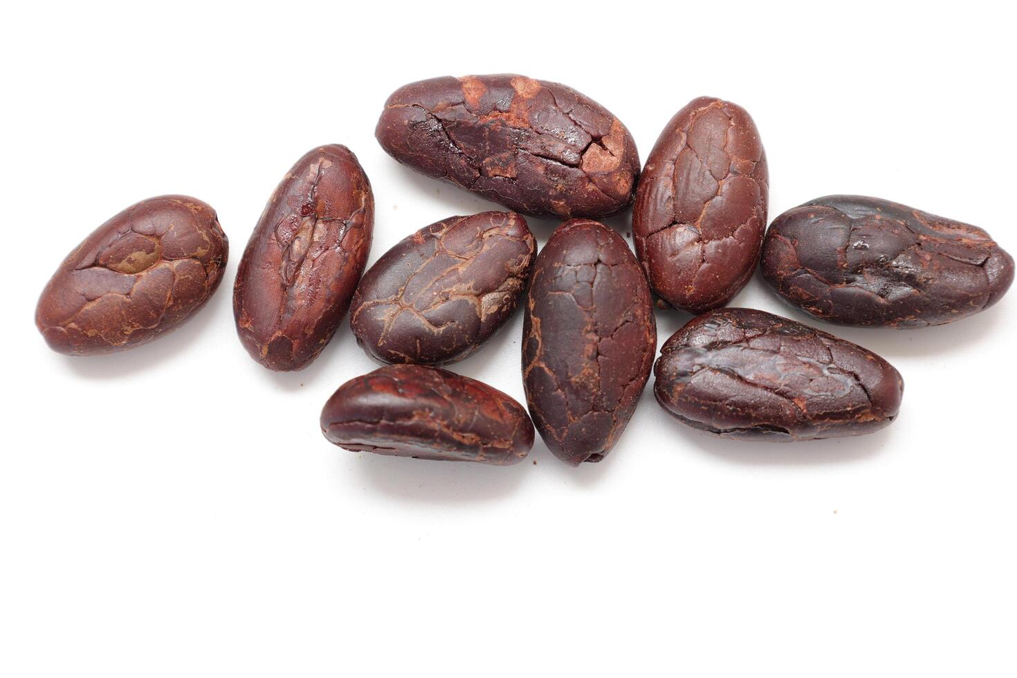 a group of dark chocolate beans on a white surface photo