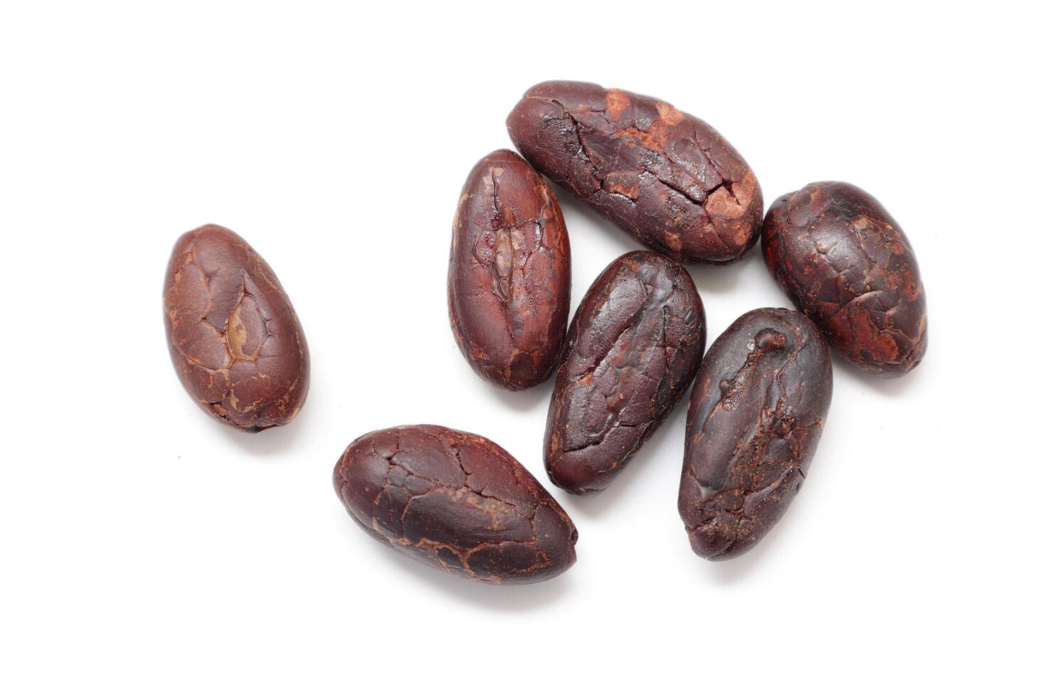 cocoa beans isolated on white background photo