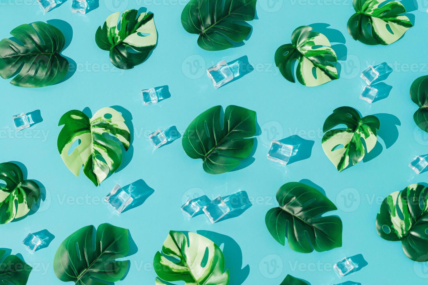 Summer day scene with ice cubes and tropical monstera leaves on blue background. Sun and shadows. Summertime pattern concept. Flat lay style wallpaper. Top view banner. Summer aesthetic backdrop. photo