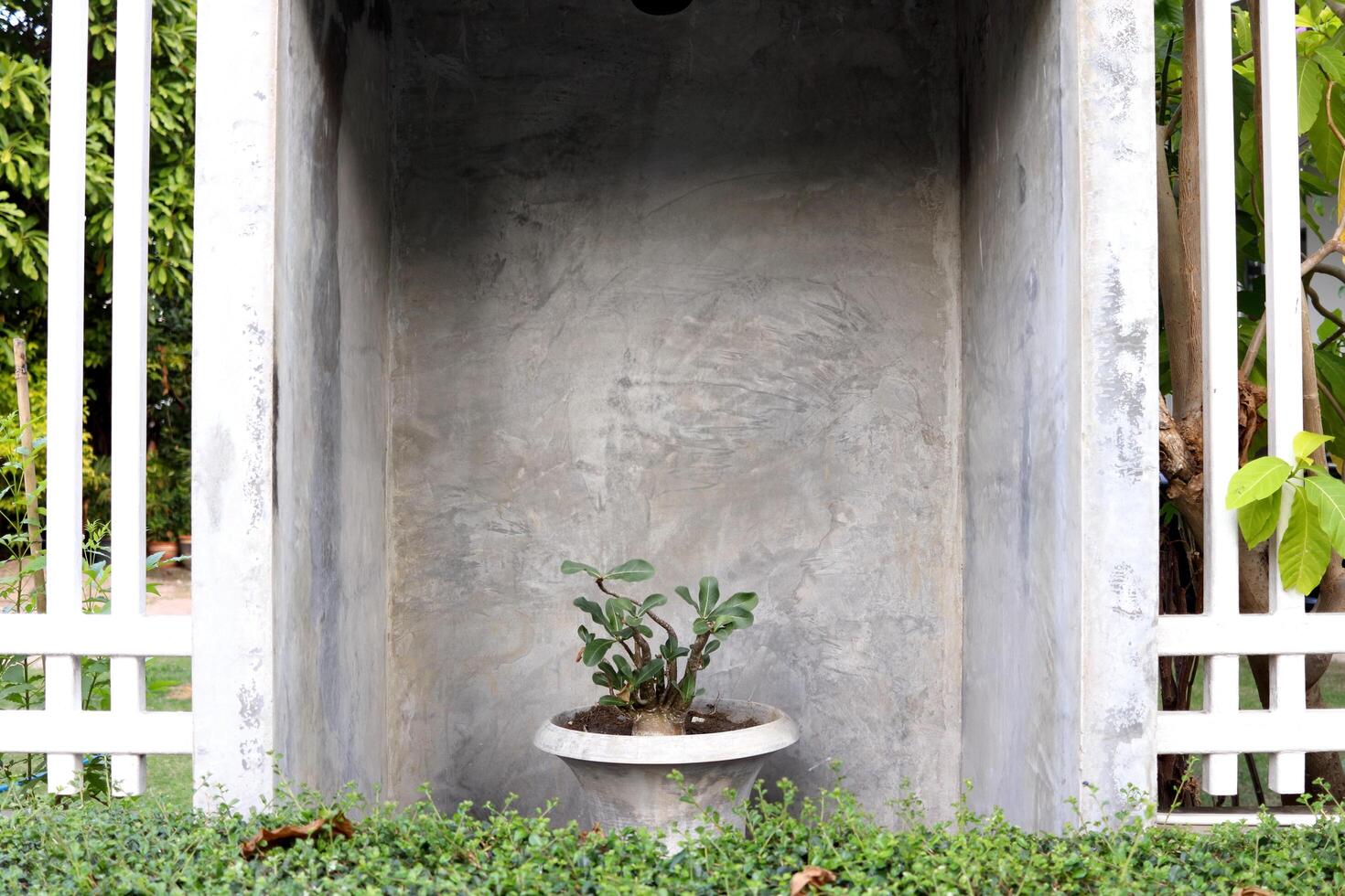 Big cement pot with flower plant in concrete frame between painted white metal fence. photo