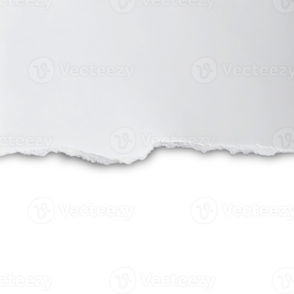 Torn white paper with a rough edge on white background png
