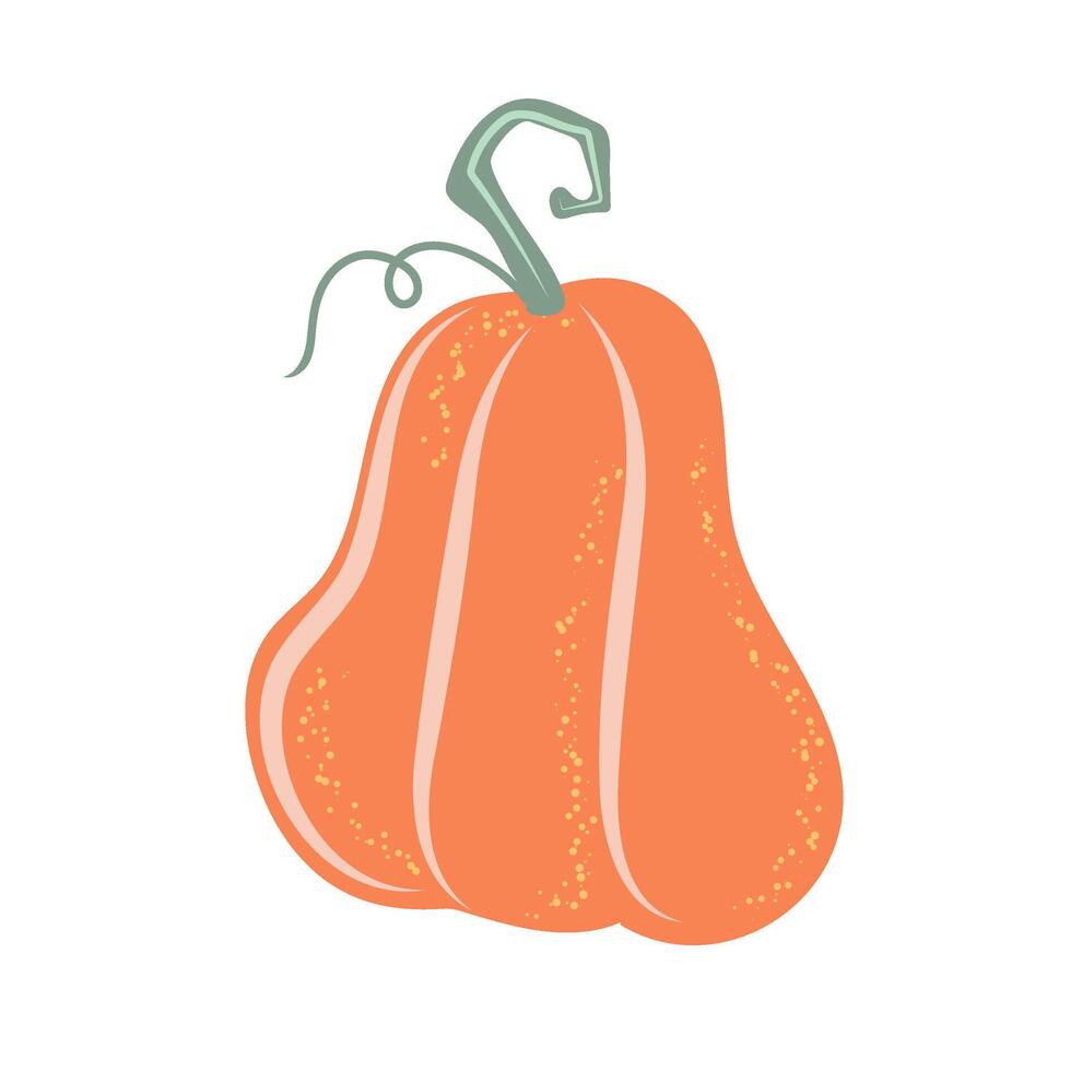 Hand drawn autumn pumpkin symbol. Autumn Vegetable harvest. Element for Halloween or Thanksgiving design. vector