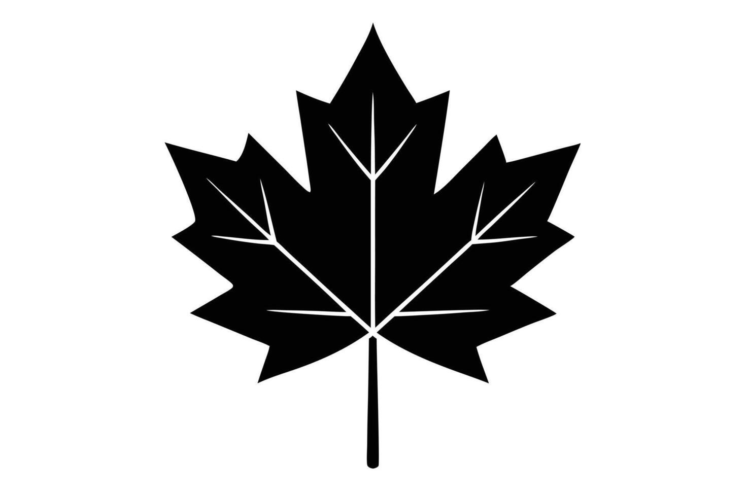 Silhouette of a Distinctive Maple Leaf with Veins on a White Background vector