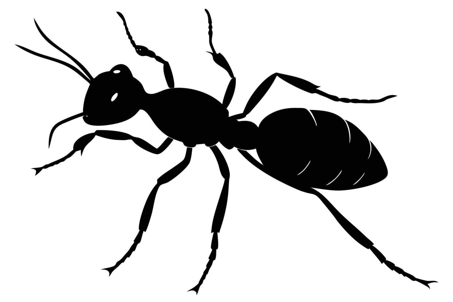 Detailed Silhouette Depiction of an Ant with Visible Antennae and Six Legs vector
