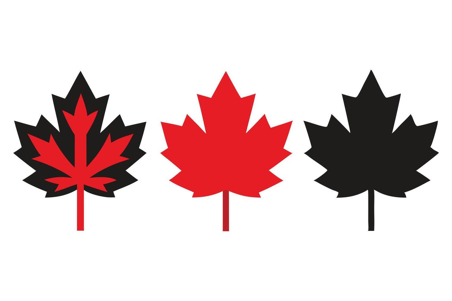 Three Stylized Maple Leaf Illustrations Black, Red, and Red with Black Outline Designs vector