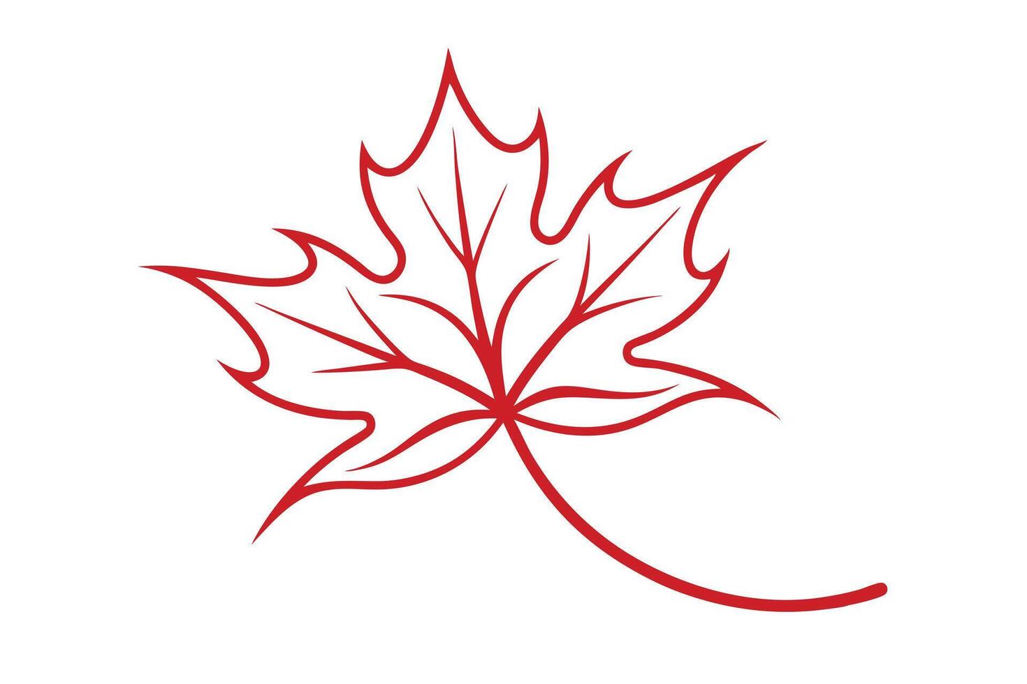 Red Maple Leaf Outline Illustration on White Background, Fall Season Decoration or vector