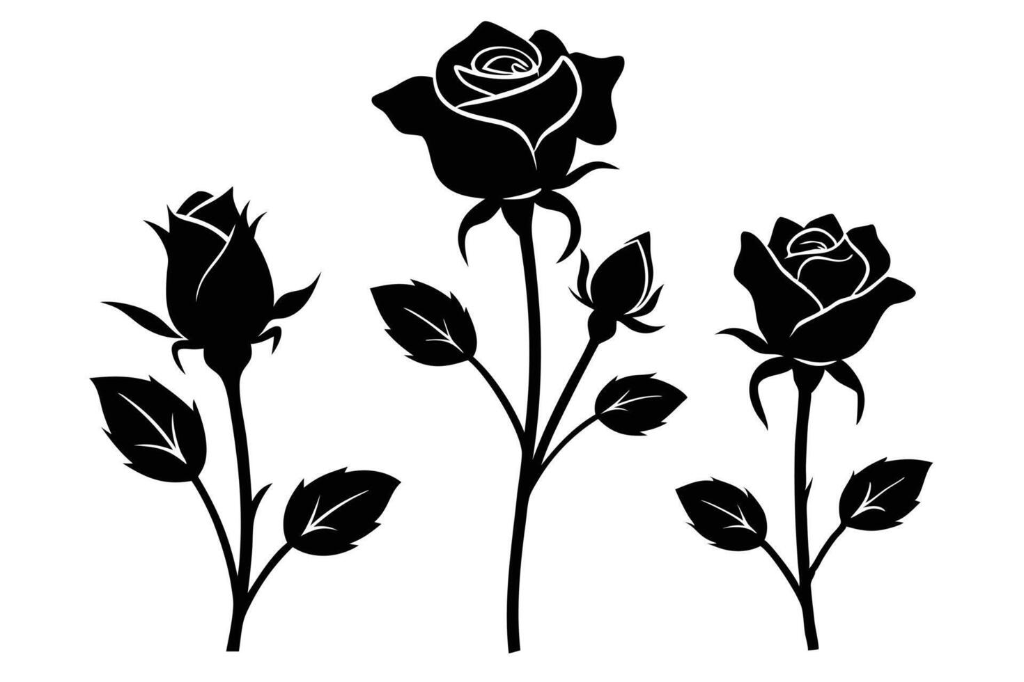 Black and White Rose Silhouettes Botanical Illustrations of Blooming Roses and Buds vector
