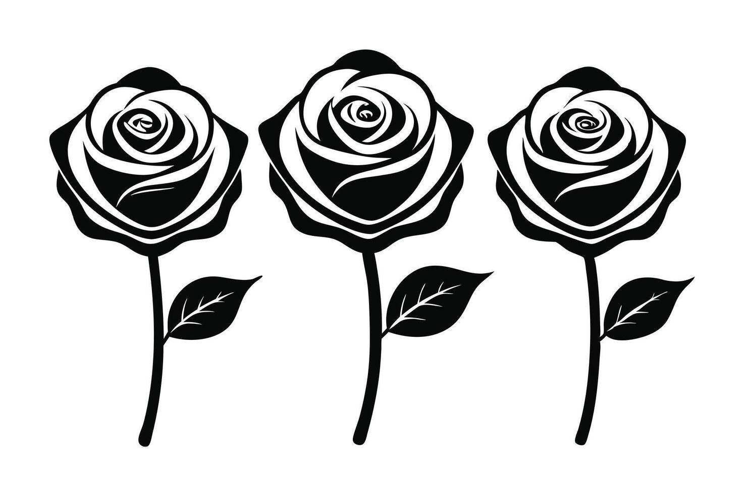 Three Black Rose Illustrations on Stems with Leaves, Isolated on White Background vector