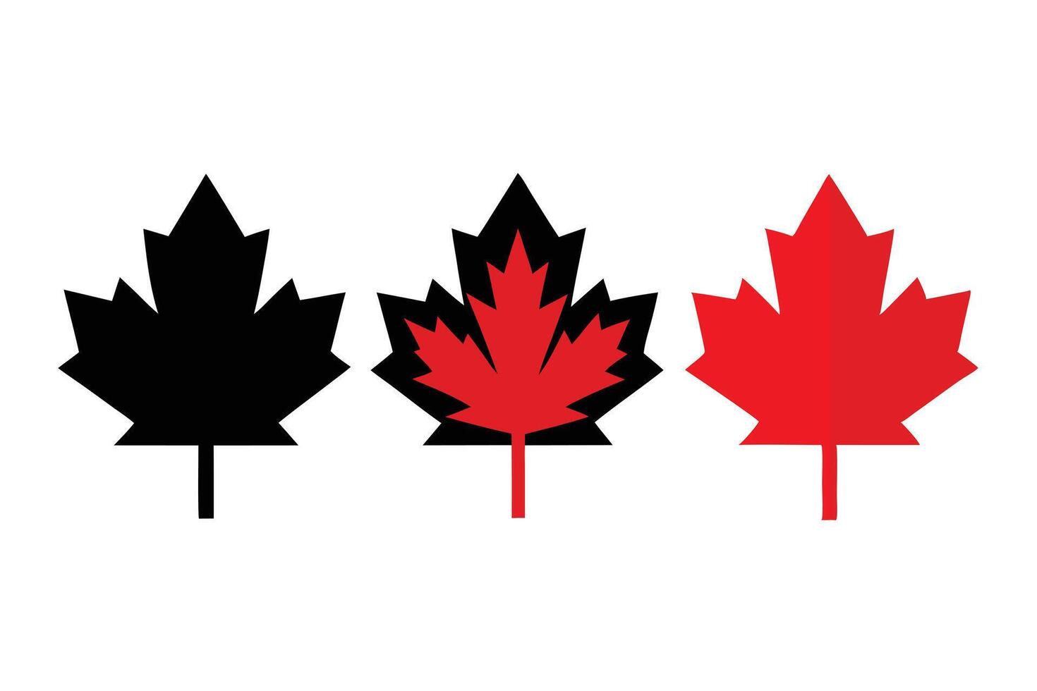 Three Stylized Maple Leaf Illustrations in Black and Red on White Background vector