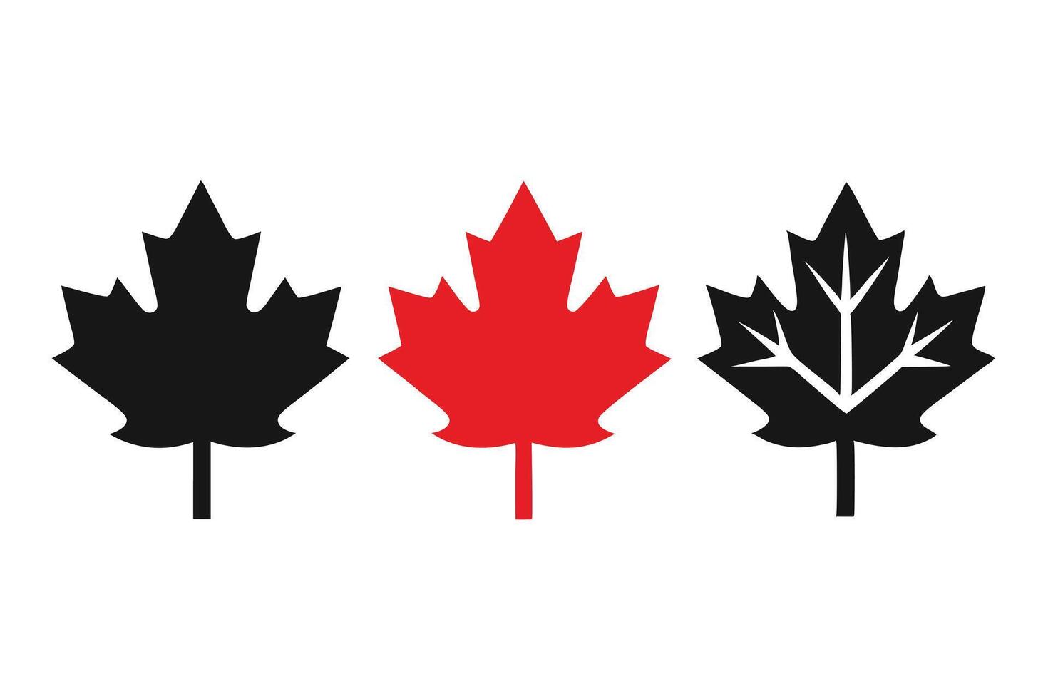 Illustration Featuring Black and Red Maple Leaves Isolated on White Background vector