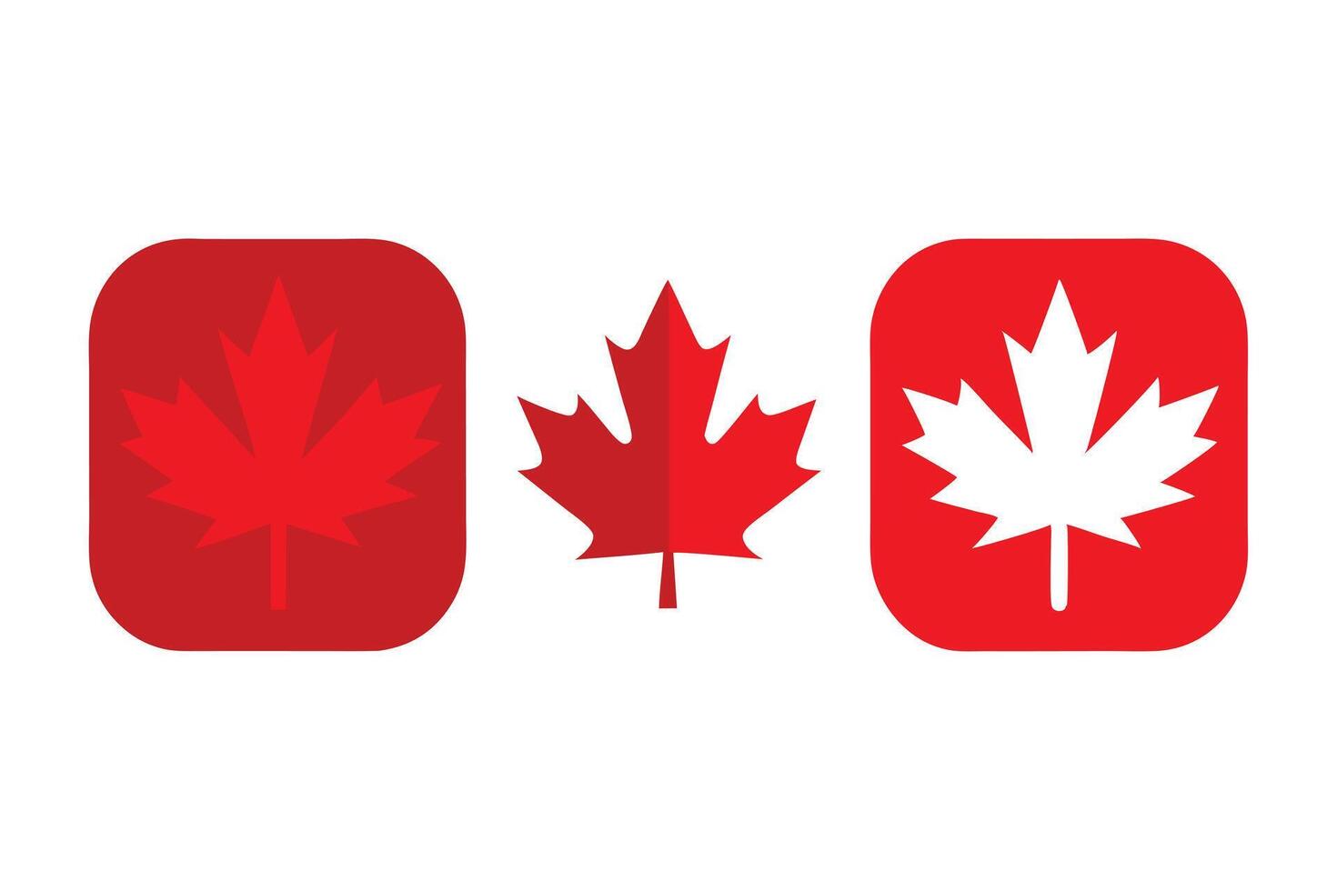 Three Red Maple Leaf Icon Variations Canada Symbolism and Design Elements Isolated vector