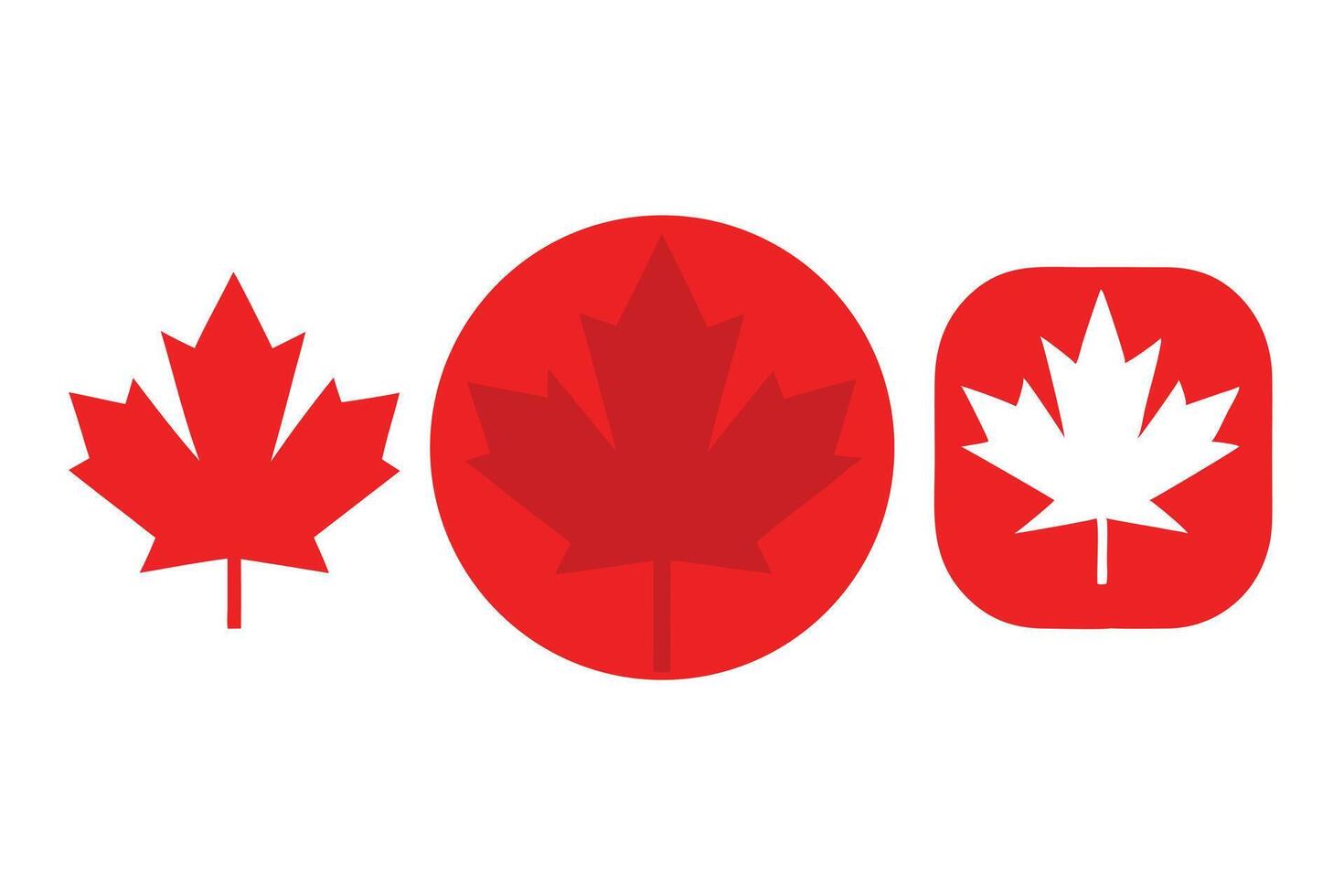 Three Symbolic Maple Leaf Icons Canada's Emblem in Red and White Variations vector