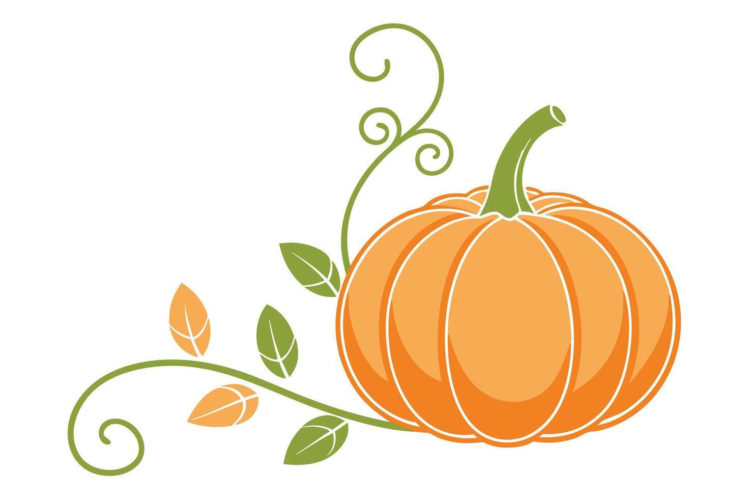 Illustration of Orange Pumpkin with Green Vine and Leaves Decoration on White Background vector