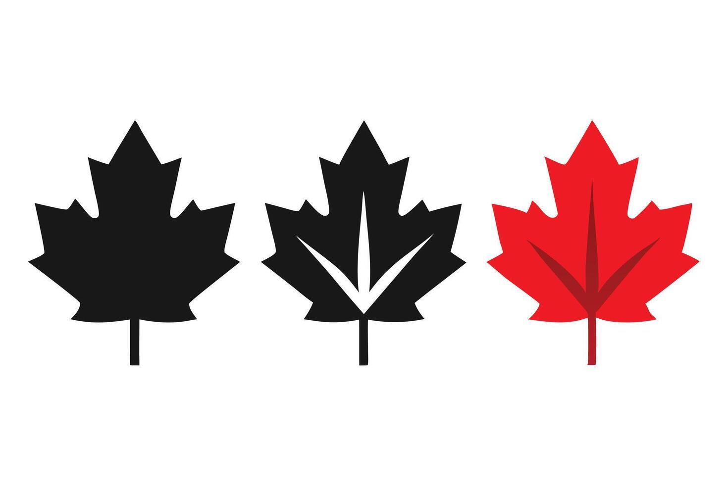 Symbolic Trio Black Outline Maple Leaf, Veined Black, and Solid Red Graphics vector