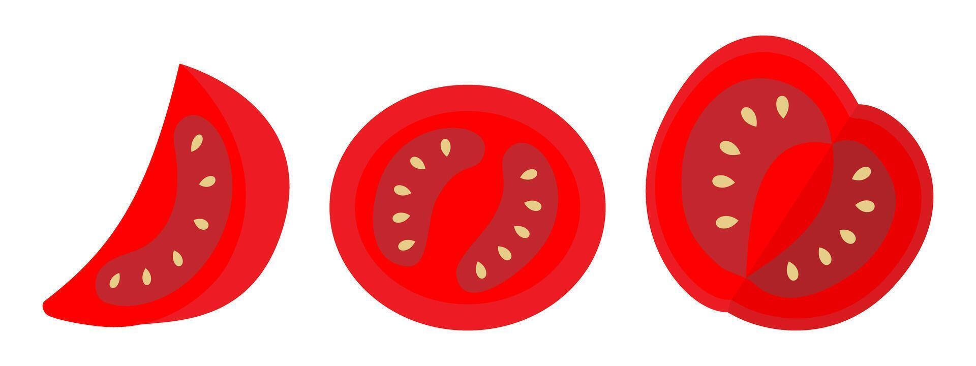 Hand Drawn Tomato slices with seed Half Circle and Quarter Food Themes Cards or infographics element. Isolated illustration Food Poster or Menu Cards, promo banner, leaflets, labels, price tag vector