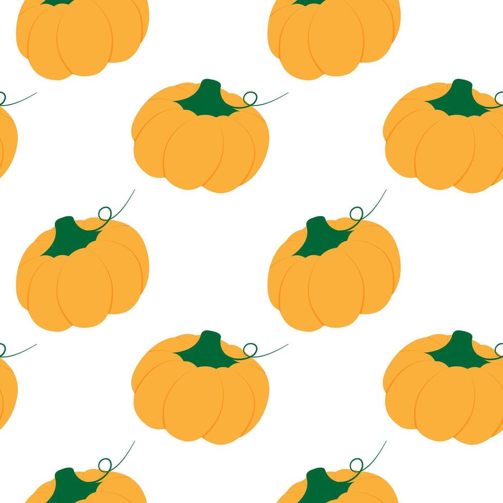 Hand Drawn Colorful Pumpkin with tendril Seamless Pattern Thanksgiving Holiday Backdrop Texture idea. Isolated illustration Autumn Holiday Theme Cards Background Party invite or banner, leaflet vector
