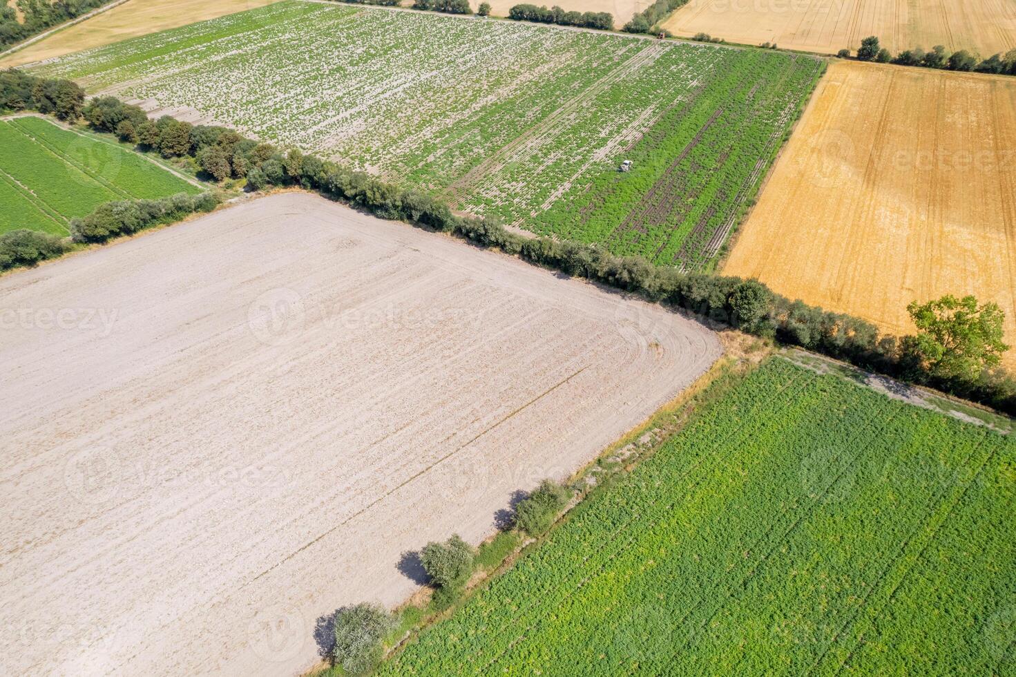 spring cultivation aerial view of farm plots, agriculture background concept photo