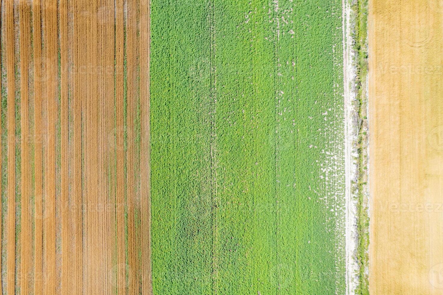 Zenithal drone view of countryside agricultural mosaic aerial geometric beauty of farmland from the air photo
