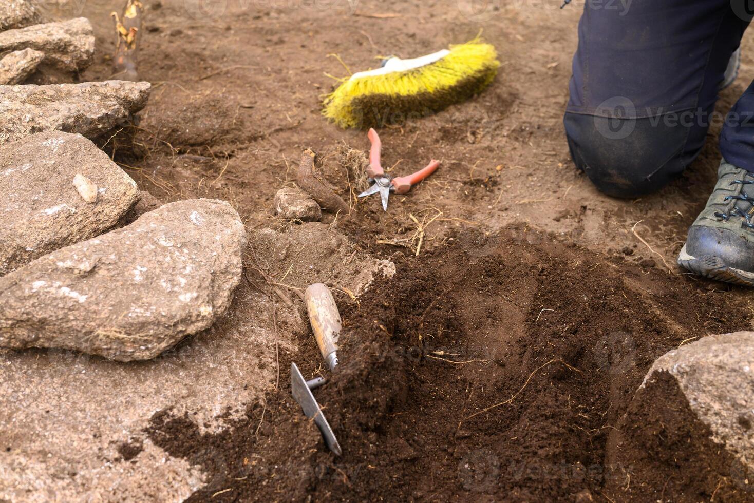 Archaeology in Action Fieldwork Scene with Tools for Discovery photo