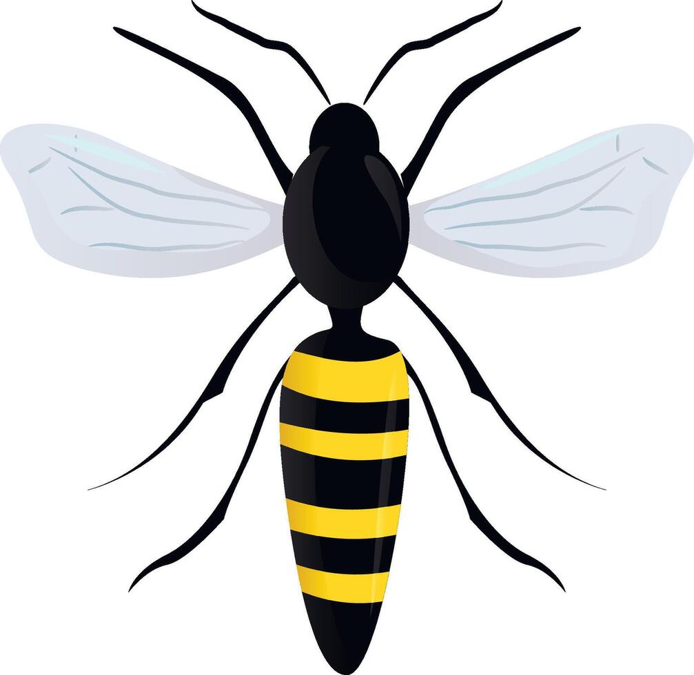 Bee insect isolated on white vector
