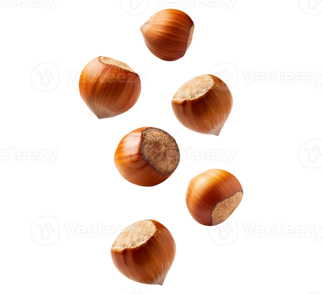 Stack of hazelnuts isolated on transparent background png