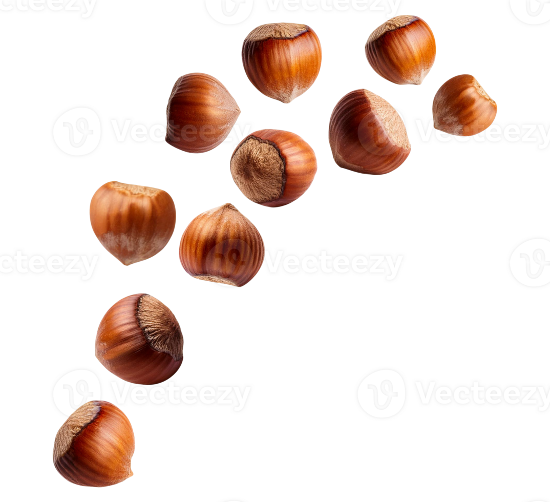 Brown Hazelnuts CloseUp Isolated png