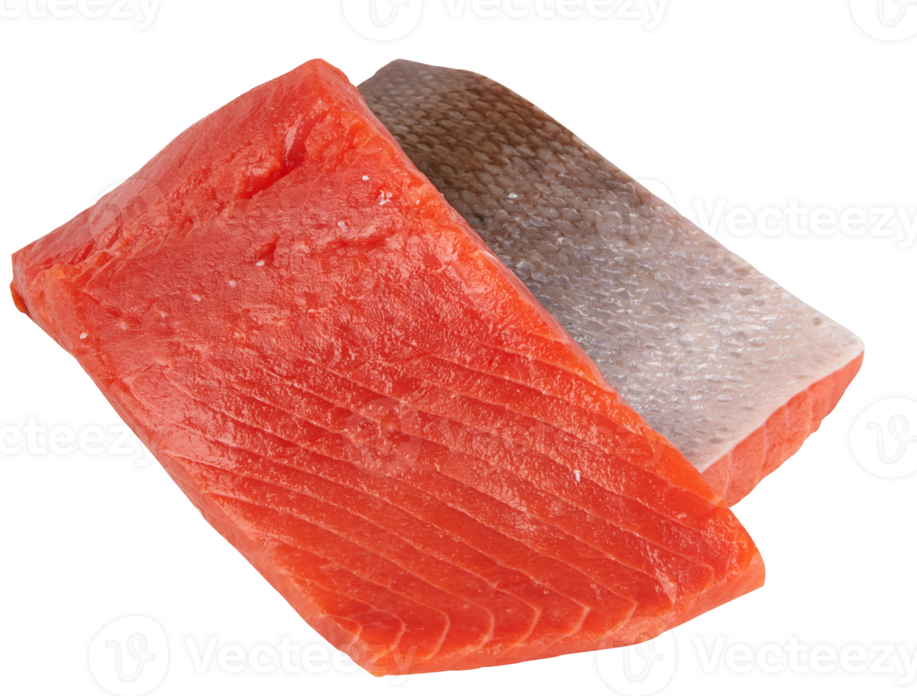 salmon cut out isolated transparent background png