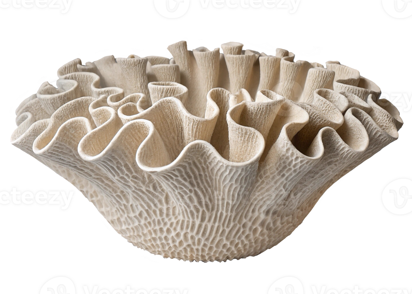 Coral Inspired Ceramic Bowl, Textured Coral Vase png
