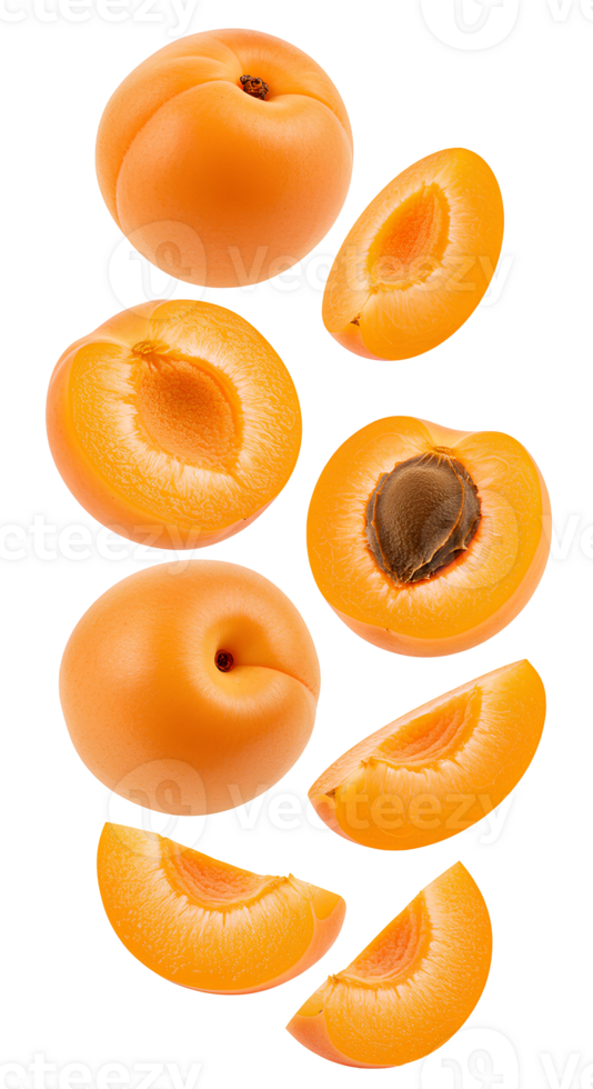 Apricot slices and whole apricots falling with transparent background for fresh fruit designs, organic food visuals, and healthy summer snacks. Flying apricot fruit pieces and whole apricots png