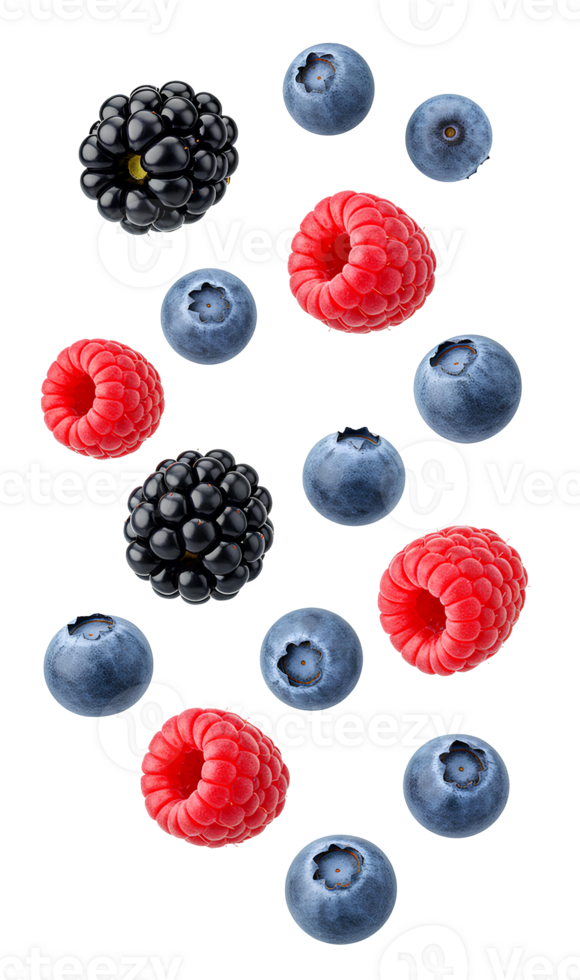Mixed summer berries including juicy blueberries, raspberries and blackberries isolated and suspended in air png