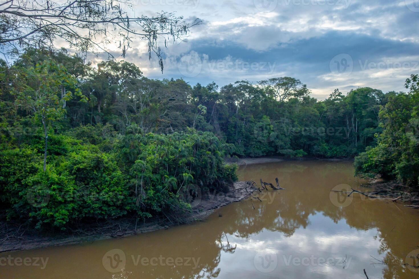 Tranquil view of the Cuyabeno river in the Amazon rainforest photo
