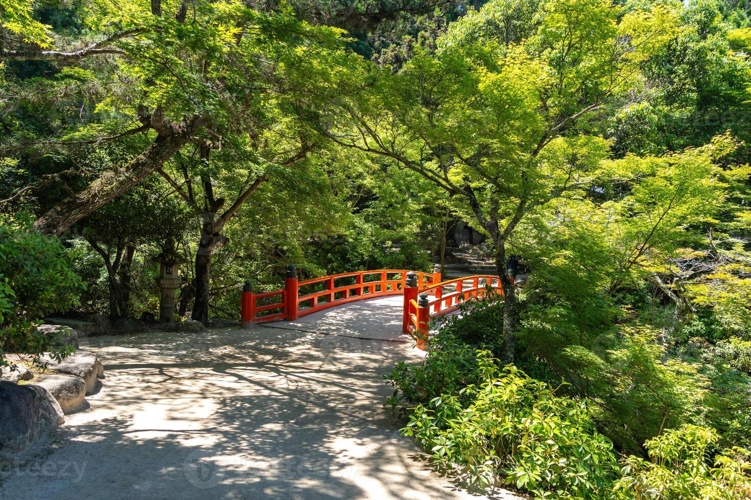 Traditional red bridge in lush forest of Miyajima Island, Japan photo