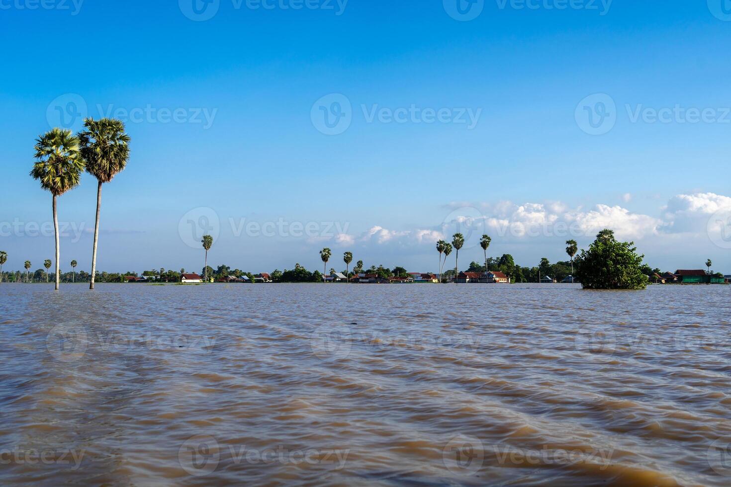The Traditional floating houses of Bujis fishermen on Lake Tempe, Indonesia photo
