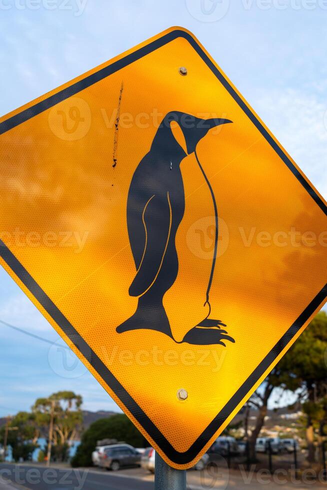 Penguin crossing warning sign on a coastal road, Kangaroo Island photo