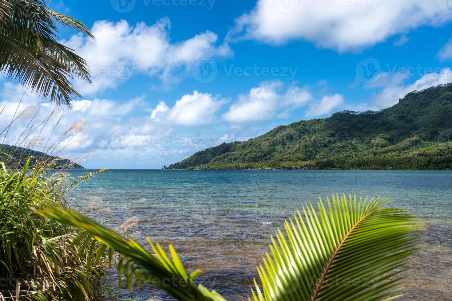 The Coastline and Mountains on Tahaa Island, French Polynesia photo