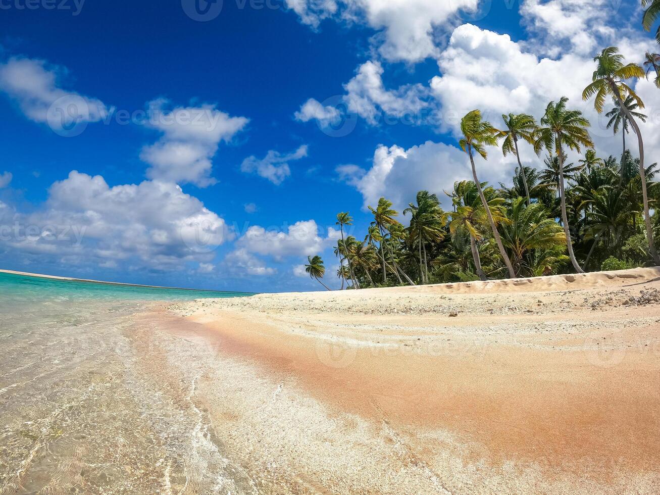 An Idyllic motu on Tikehau Atoll, French Polynesia, surrounded by turquoise waters photo