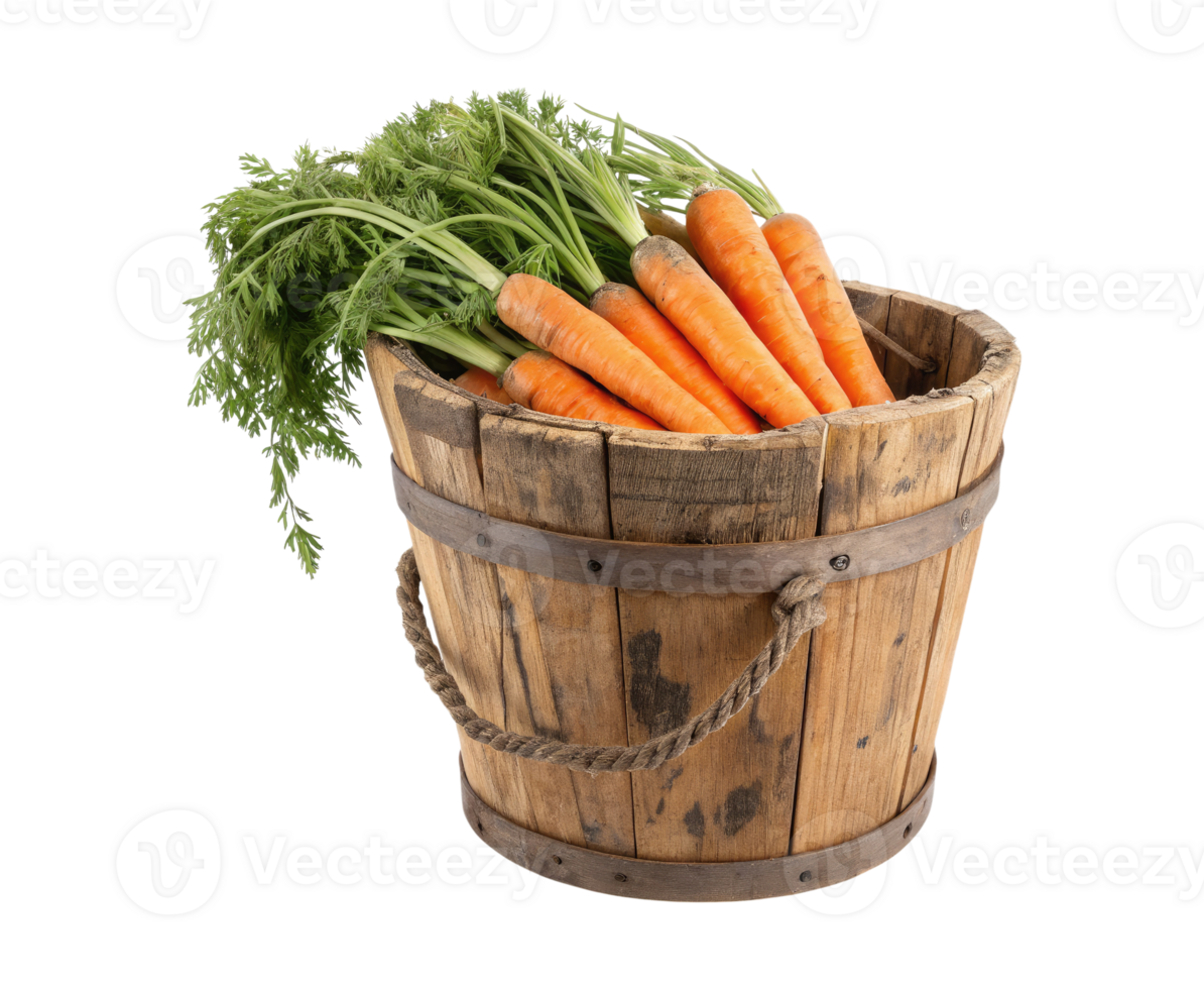An old rustic wooden bucket filled with fresh carrots isolated on a transparent background png
