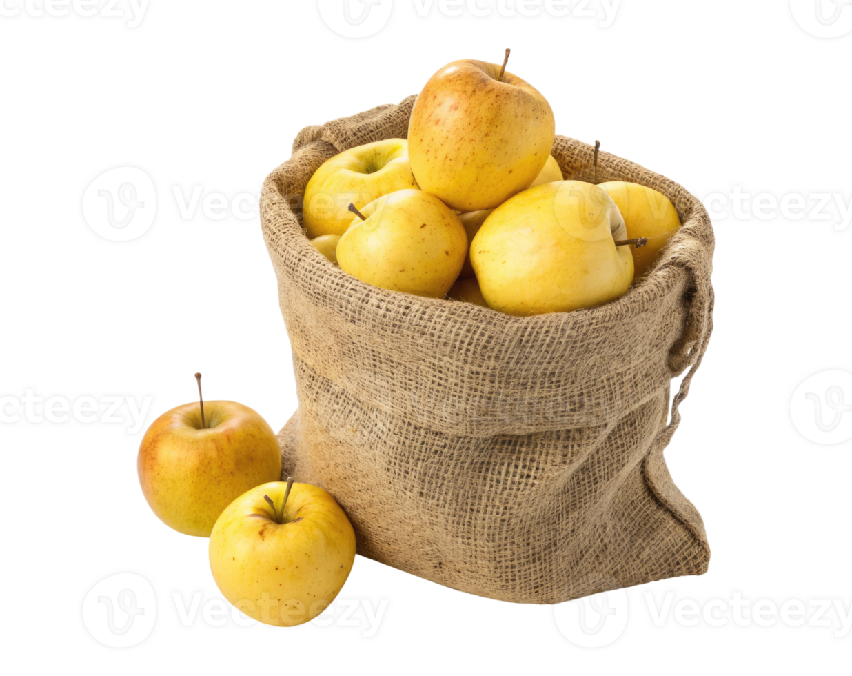 Fresh yellow apples in a burlap sack isolated on a transparent background png