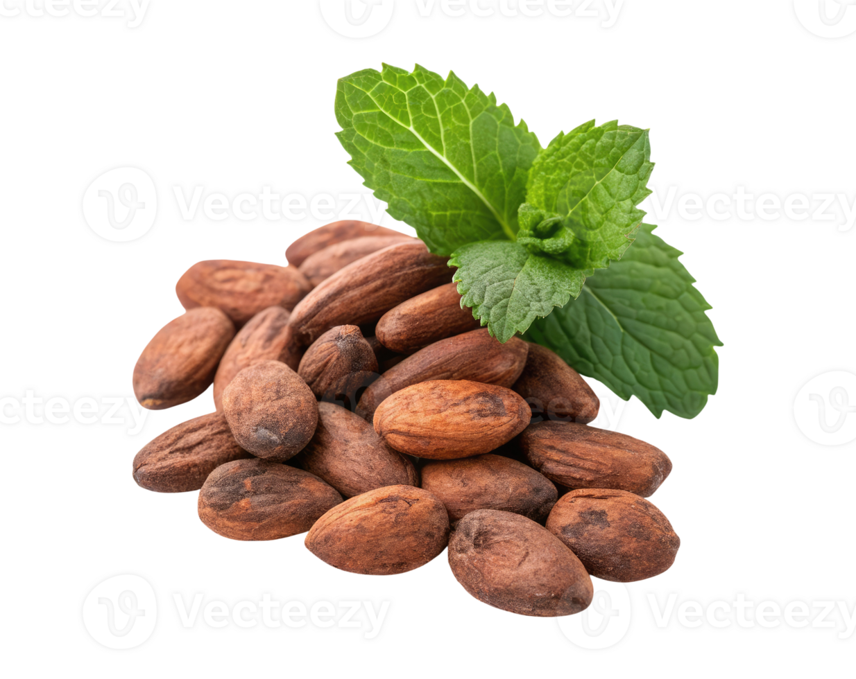 A pile of shelled cocoa beans with mint leaf isolated on a transparent background png