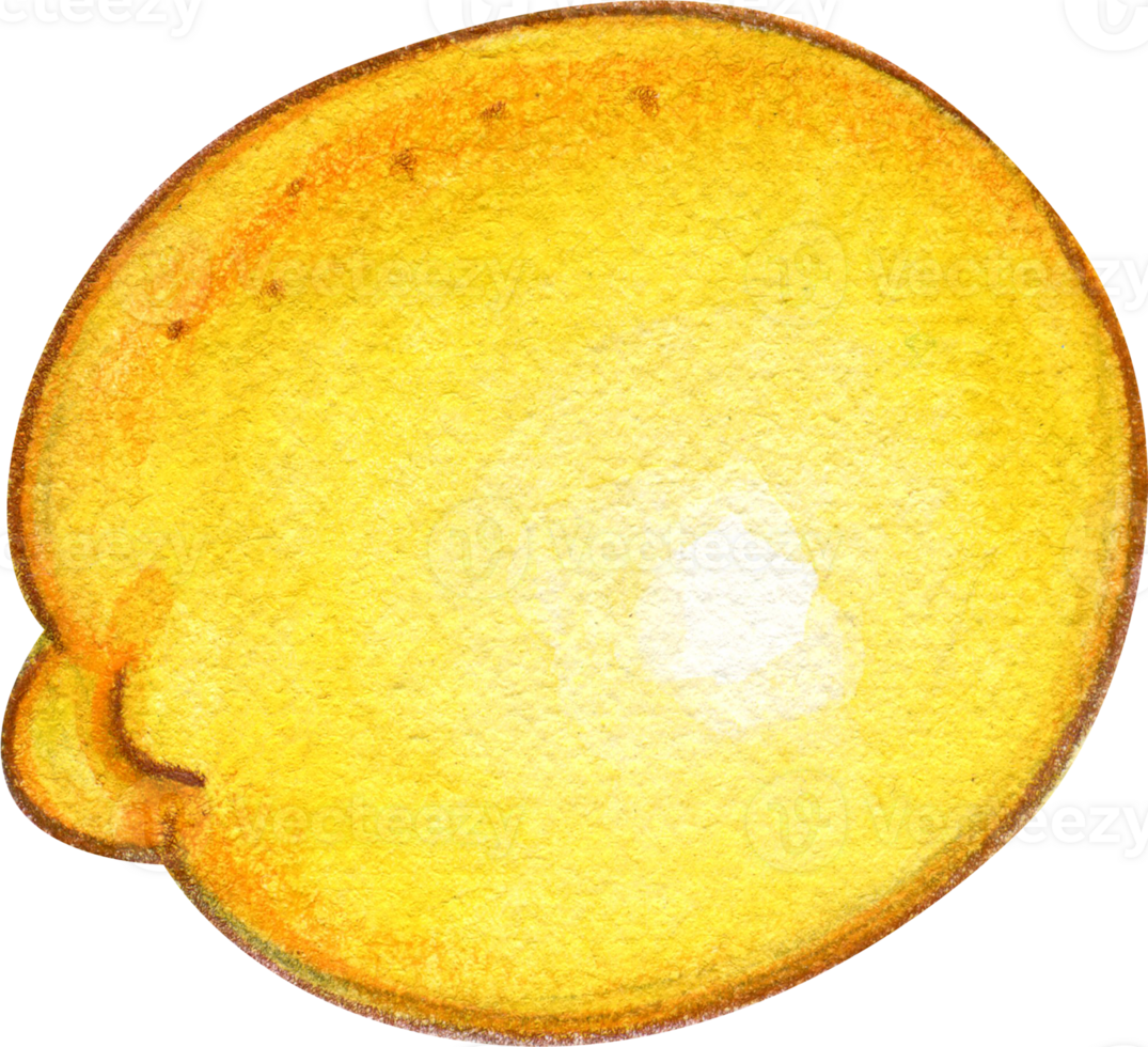 watercolor lemon side view png